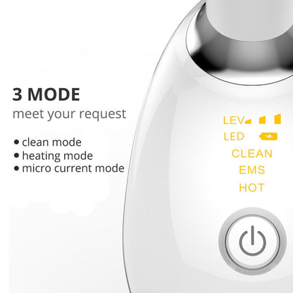 LED Photon Face Beauty EMS Device